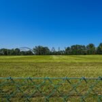 IMG_2774